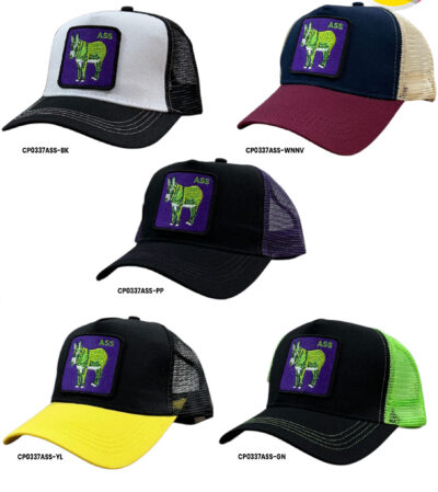 FASHION CAP -ASS