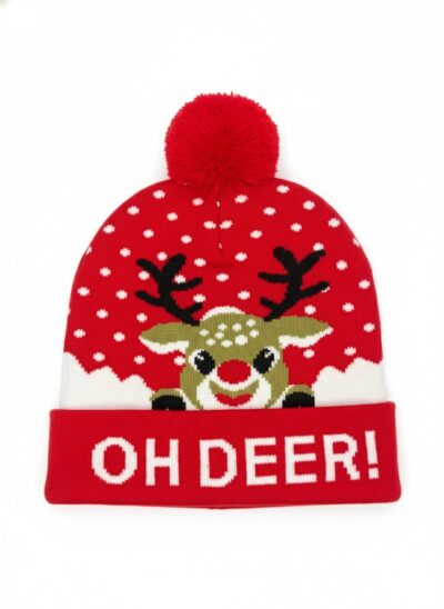 Christmas Beanie
